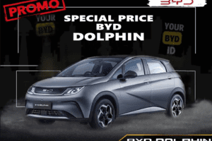 Dolphin
